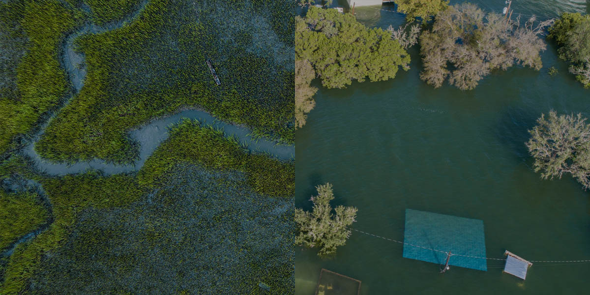 A side-by-side aerial comparison of a lush, green salt marsh with a winding waterway and a small boat next to a flooded area where trees and structures are partially submerged